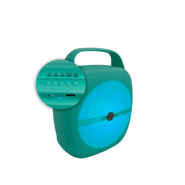 Bocina SANKEY PA8DCX2 8" Recargable USB - 5_.png