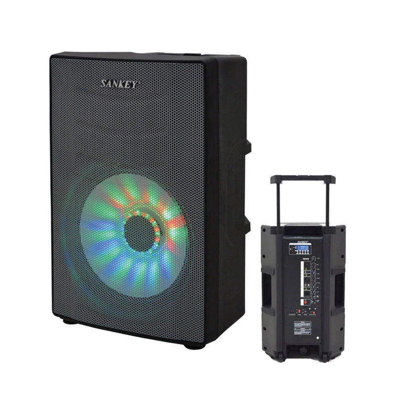 Bocina Sankey 15" 120W Doble