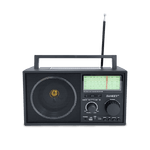 Radio Portátil Sankey R477BT - 1-101.png