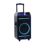 Bocina 10x2" 60W Sankey - 1-10.png