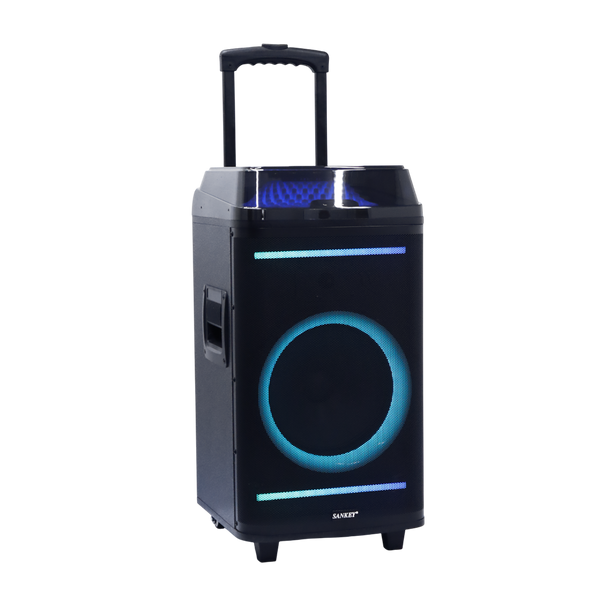 Bocina 10x2" 60W Sankey - 1-10.png