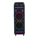 Bocina 10x2" 80W Sankey - 1-11.png