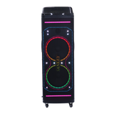 Bocina 10x2" 80W Sankey
