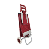 Carro portátil y plegable para compras