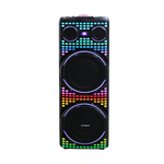 Bocina 12x2" Sankey 100W - 1-15.png