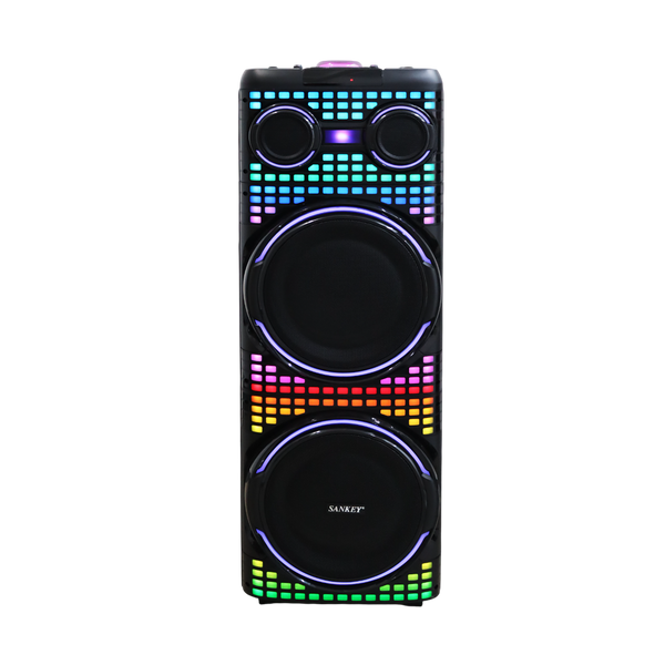 Bocina 12x2" Sankey 100W - 1-15.png