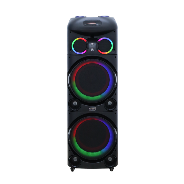 Bocina 12x2 Sankey 100W - 1-16.png