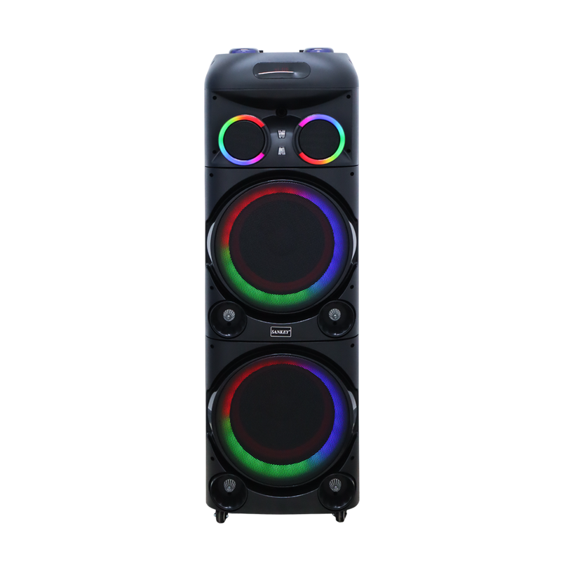 Bocina 12x2 Sankey 100W