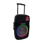 Bocina AIWA 15" 1000W C/P SP15TK 170 - 1-1.png