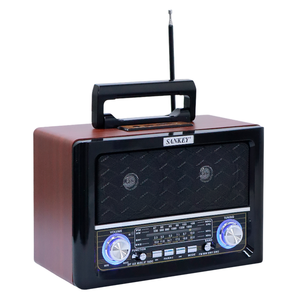 Radio portatil Sankey - 1-26.png