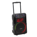 Bocina 12" Sankey - 1-32.png
