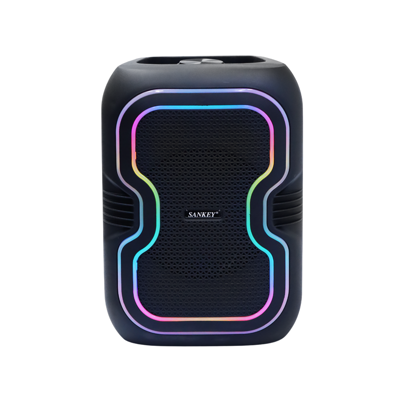 Bocina 8"X2 Sankey portatil