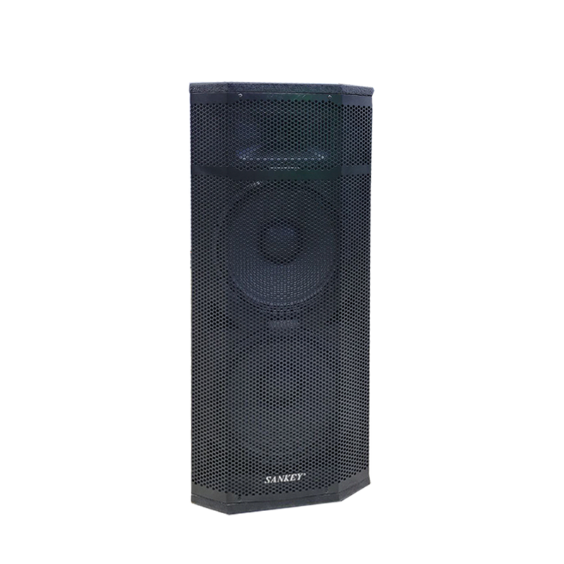 Bocina Sankey PA15350 15"X2