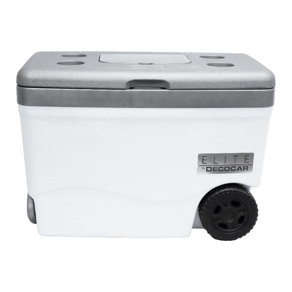 Cava 55LTS Elite Decocar - 1-42.png