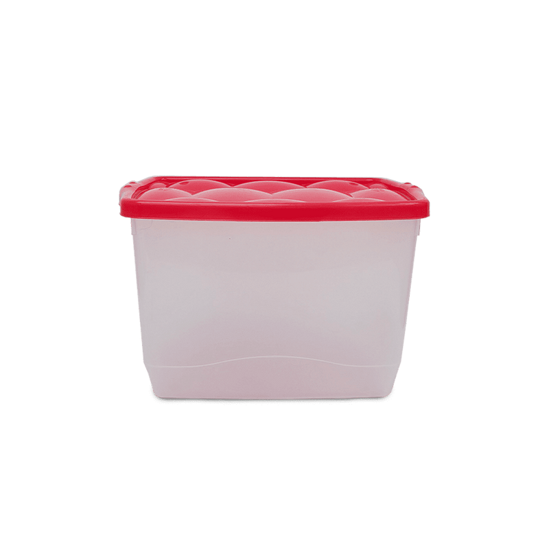 Caja 553 Premium Multiuso Tutti Hogar