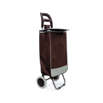 Carro portátil y plegable para compras - 1-50.png