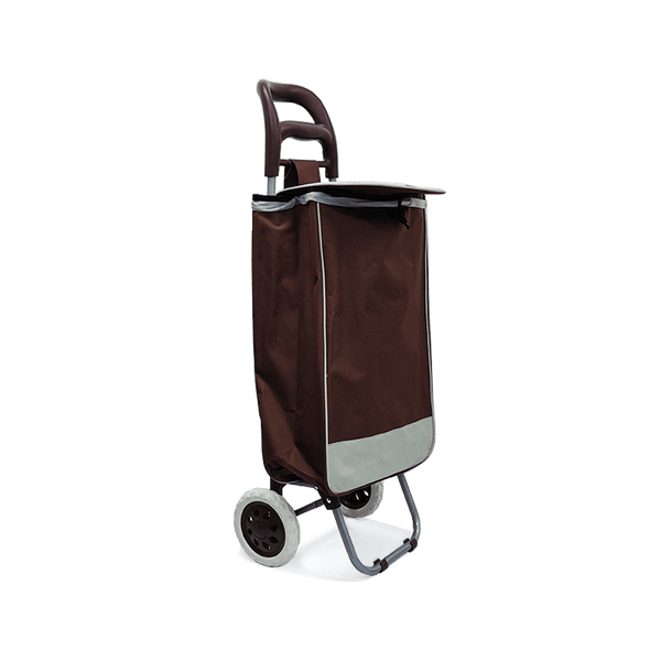 Carro portátil y plegable para compras - 1-50.png