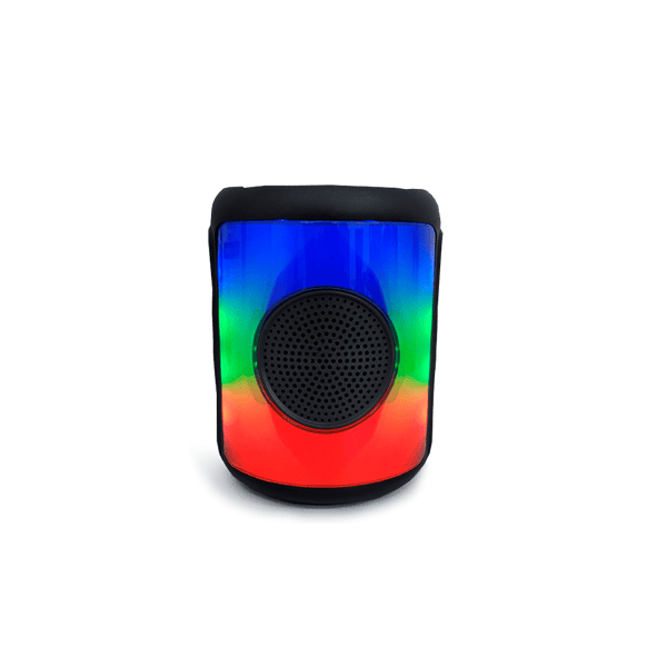 Bocina Sankey USB Karaoke - 1-81.png