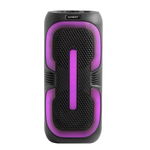 Bocina amplificada Sankey 6.5"x2 - 1-85.png