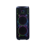 Bocina 10x2" 50W Sankey - 1-9.png