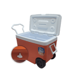 Cava 55LTS C/Rueda Decocar - 16_.png