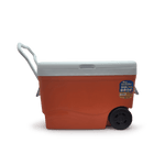 Cava 55LTS C/Rueda Decocar - 16.png