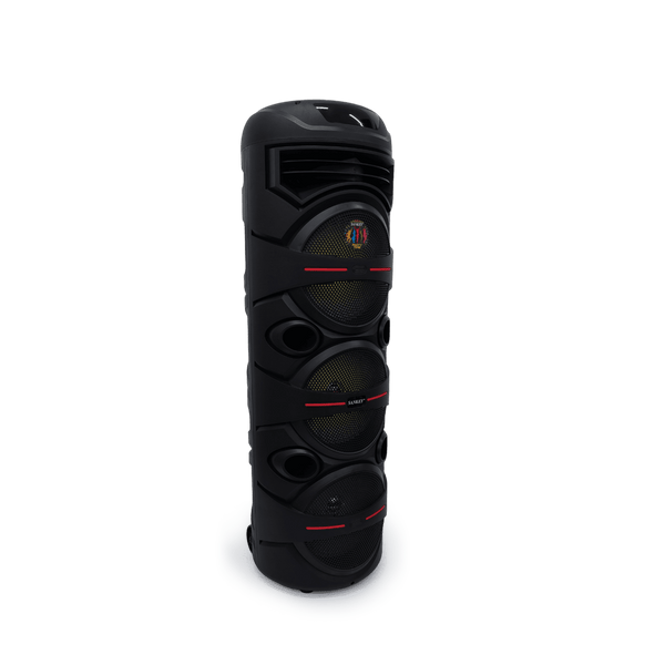 Boocina SANKEY PA8DC3C44M 8X3 SUP. Woofer - 17.png