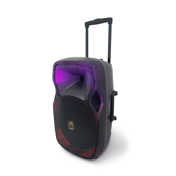 Bocina Sankey BT/USB/FM/LED Karaoke - 19-2.png