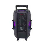 Bocina Sankey BT/USB/FM/LED Karaoke - 19-3.png