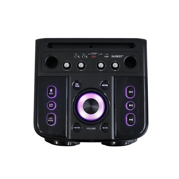 Bocina 12x2" Sankey 100W - 2-13.png