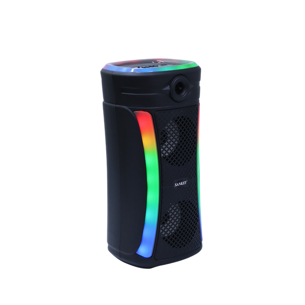 Bocina Sankey 2x4" portatil - 2-15.png