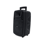 Bocina 8"  Superwoofer Sankey - 2-1.png