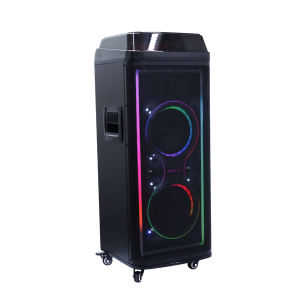 Bocina 8"x2 portatil Sankey - 2-20.png