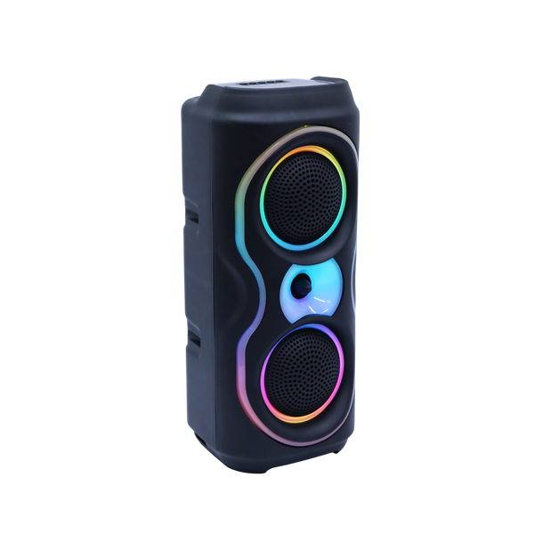 Bocina 4X2" Sankey portatil - 2-27.png