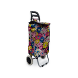 Carro portátil y plegable para compras