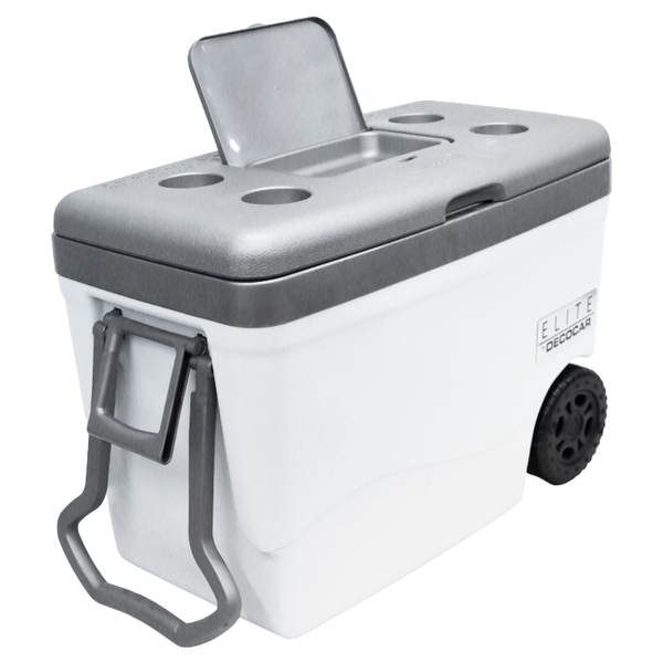 Cava 55LTS Elite Decocar - 2-30.png