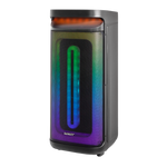 Bocina Sankey 8"x2 portatil - 2-53.png