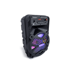 Bocina Sankey 8" USB - 2-58.png