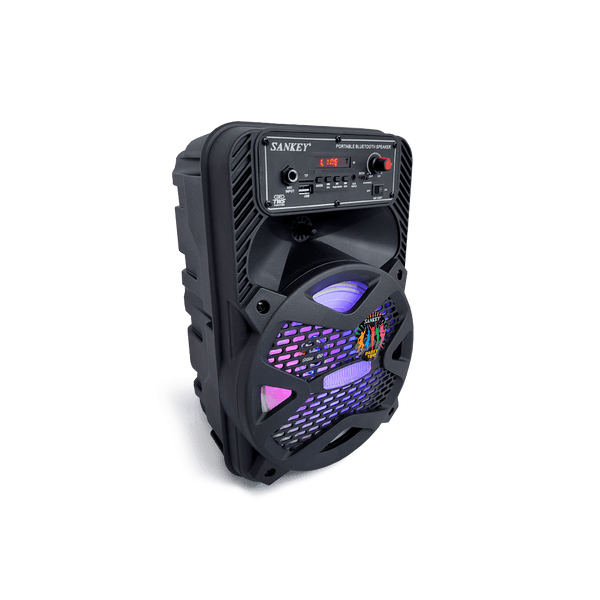 Bocina Sankey 8" USB - 2-58.png