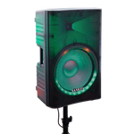 Bocina 15" Sankey superwoofer - 2-5.png