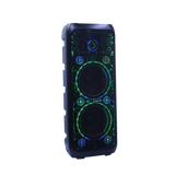 Bocina 10x2" 50W Sankey