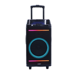 Bocina 10x2" 60W Sankey - 2-8.png