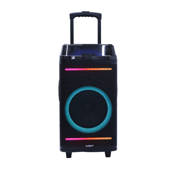 Bocina 10x2" 60W Sankey - 2-8.png