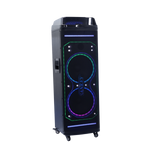 Bocina 10x2" 80W Sankey - 2-9.png