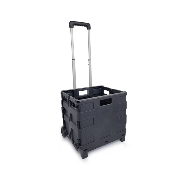 Cesta con Rueda Plegable - 21-1.png