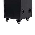Bocina 8"x2 portatil Sankey - 3-12.png