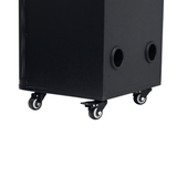 Bocina 8"x2 portatil Sankey