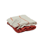 Pañitos 2pza Scarlett Classic - 3-1.png
