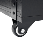 Bocina 10x2" 60W Sankey - 3-5.png