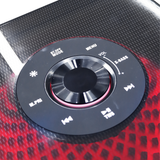 Bocina 10x2" 80W Sankey